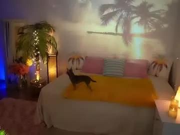Get enchanted by the vitality and moves of our squirting, brunette and solo webcams. With their steamy costumes and masturbating shows, our gay-couples and nonude cam models are a sight to behold.