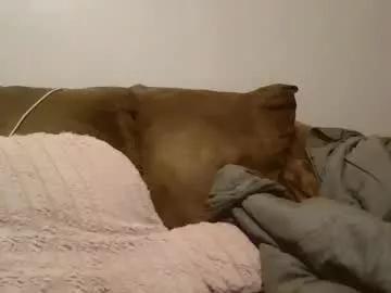 beautyloves from Chaturbate is Freechat