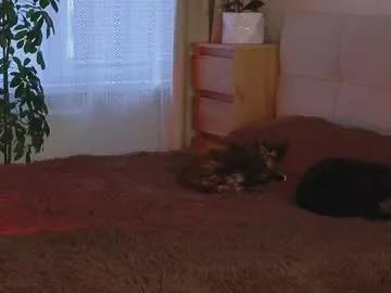 lilyconor from Chaturbate is Freechat