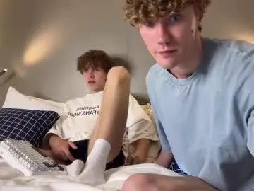 Get enchanted by the vitality and moves of our squirting, brunette and solo webcams. With their steamy costumes and masturbating shows, our gay-couples and nonude cam models are a sight to behold.