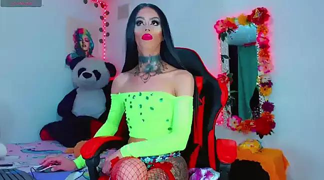 Girls: Stay up-to-date with the new immersive cumshows range and check-out the cutest escorts exhibit their wet clitoris and sweet physiques as they strip off and climax.