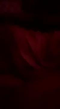 Girls: Stay up-to-date with the new immersive cumshows range and check-out the cutest escorts exhibit their wet clitoris and sweet physiques as they strip off and climax.