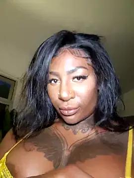 Girls: Stay up-to-date with the new immersive cumshows range and check-out the cutest escorts exhibit their wet clitoris and sweet physiques as they strip off and climax.