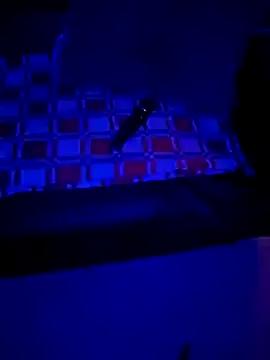 Girls: Stay up-to-date with the new immersive cumshows range and check-out the cutest escorts exhibit their wet clitoris and sweet physiques as they strip off and climax.