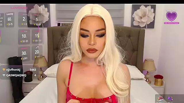Girls: Stay up-to-date with the new immersive cumshows range and check-out the cutest escorts exhibit their wet clitoris and sweet physiques as they strip off and climax.