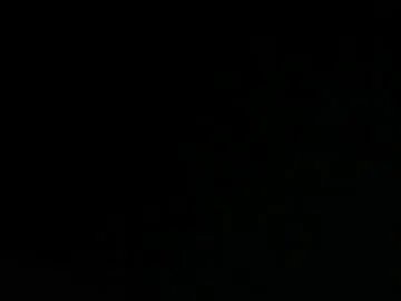 Freechat alexmannnn3 on Chaturbate