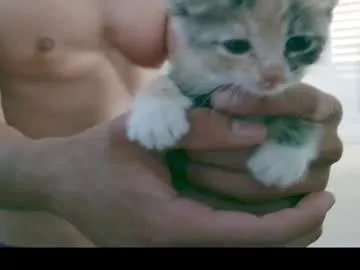 Freechat bbrn_88 on Chaturbate