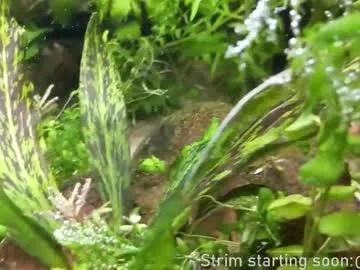 booker_baxton — Remember when getting your dick sucked was the biggest scandal :) #uncut #young #gay #bi #twink