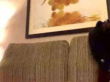 Freechat gingerfox777 on Chaturbate