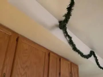 Freechat gucciboi4 on Chaturbate