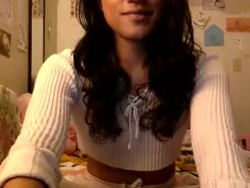 transamoure model from cb