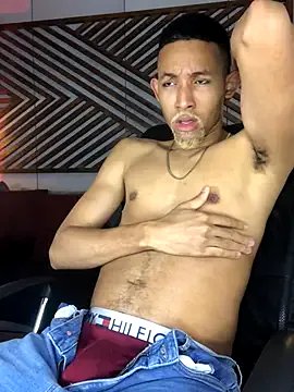 Freechat B_Wild on StripChat