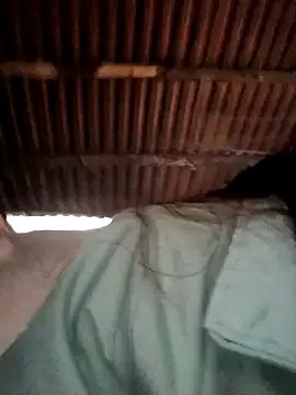 Freechat Bear_bear0 on StripChat