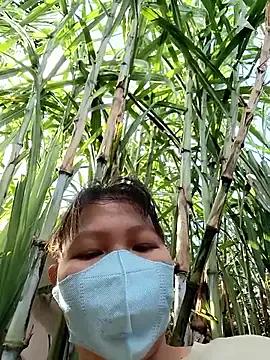 Freechat Betty20zx on StripChat