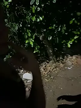 Craziness_street model from sc