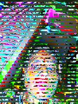 ISHANI-SINGH on StripChat