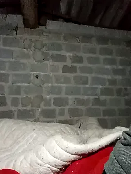 Freechat lemon-beo on StripChat