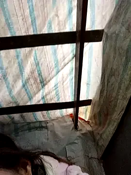 Freechat lemon-beo on StripChat