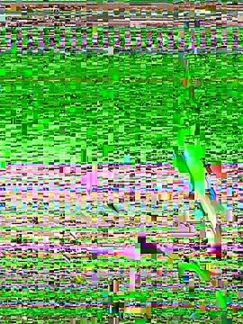 Luna-ass — earn money to buy dresses