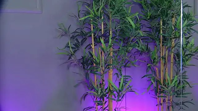 PatriciaSpice model from sc