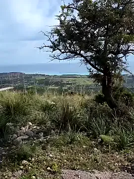 Freechat Samira-Summer on StripChat