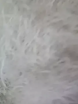 Offline siiiiixx on StripChat