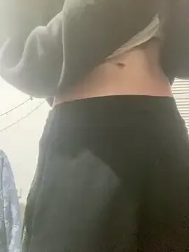 sumiso2004 model from sc