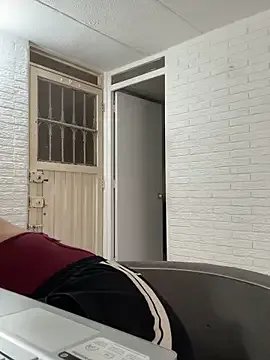 susi_chimm model from sc