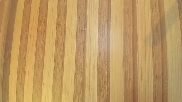 Taylor__cooper — anal whit dildo