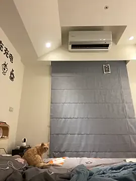 Offline tw_feibaby on StripChat