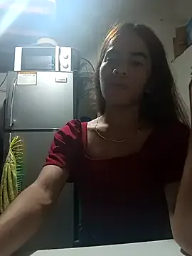 Wildcam21 model from sc